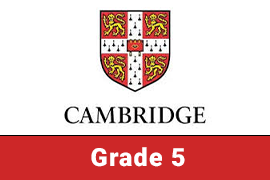 CIC | Grade 5