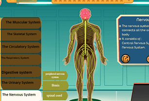 Nervöses System