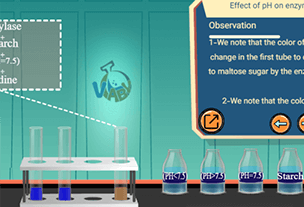 Effet du pH sur l'activité enzymatique