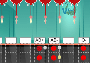 Determine blood types