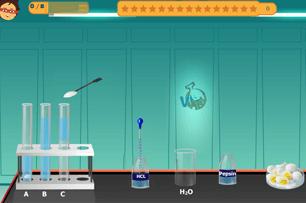 How pepsin enzyme aids in the process of digestion