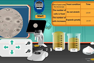 What temperatures stimulate yeast growth?